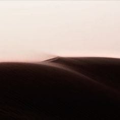 a lone tree stands in the middle of a desert landscape with sand blowing behind it