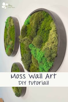 Create DIY Moss Wall Art - Nature Decor Tutorial | acrylic painting food
, kitchen artwork painting
, kitchen artwork painting
, acrylic painting kitchen art
, oil painting food
, kitchen paintings art wall decor
, kitchen paintings art wall decor bohemian
, fruit wall art
, fruit art print
, fruit painting prints
, abstract fruit painting
, fruit canvas painting