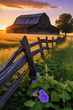 Golden hour magic on a rustic farmstead. Wild roses, a weathered barn, and soft light create a captivating scene. Explore rustic farm inspiration and shop prints via the link in bio! #rusticdecor #farmhouseaesthetic #goldenhour
