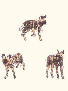 three different types of wild dogs are depicted in this image, with pink flowers all over them