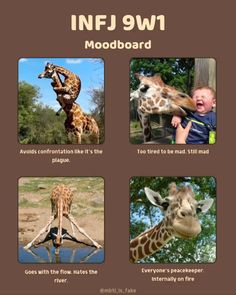 Infj And Entp, Enneagram 9, Inner Me, Multiple Personality, Infj Personality, Enneagram Types, Mbti Personality, Infp, Personality Types