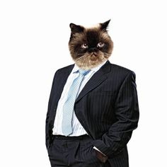 a man in a suit with a cat's head on his shoulders and chest