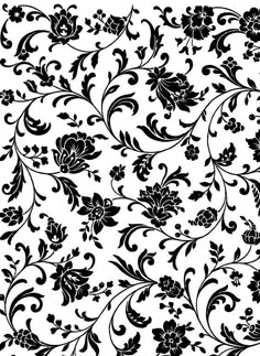 black and white floral pattern on a white background stock photo 399872