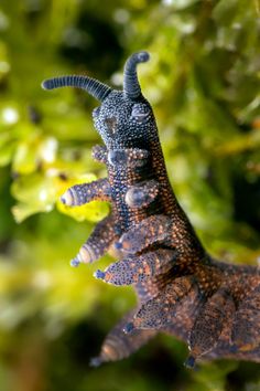 an animal that is standing on its hind legs in the air with it's mouth open