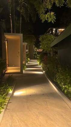 the walkway is lined with trees and plants at night time, leading to an open door