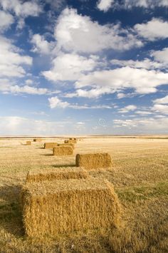 hay bales in the middle of an open field under a cloudy blue sky