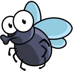 a black and blue bee with big eyes