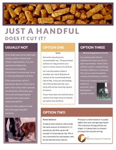 a brochure with some pictures of dogs and their owner's dog food