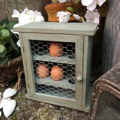 an old cabinet with eggs in it sitting on the ground next to flowers and potted plants