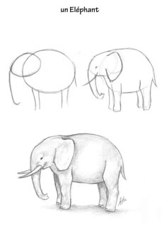 an elephant is shown in three different positions