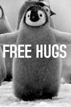 three penguins with the words free hugs written on their backs in front of them,