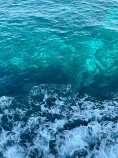 the water is very blue and green as it looks like they are floating in the ocean