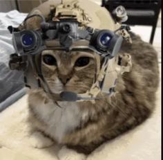 a cat is wearing a helmet made out of gears and other things on it's head