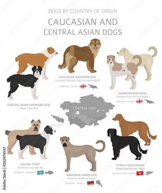 the different breeds of dogs that are in each country and their respective territory, with names