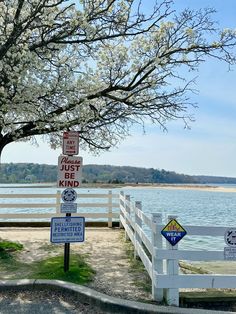there are many signs on the side of the road by the water and trees with white blossoms