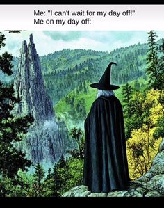 a wizard standing on top of a mountain looking out at the mountains with trees and rocks