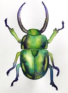 a watercolor drawing of a green beetle