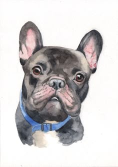 a watercolor painting of a dog wearing a blue collar