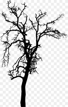 a black and white silhouette of a tree with no leaves on it, transparent background