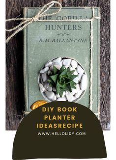 a book with a plant in it and the title, diy book planter ideasrecipe