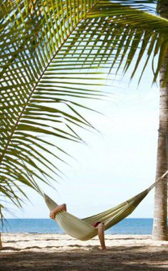 a man laying in a hammock between two palm trees on the beach,
