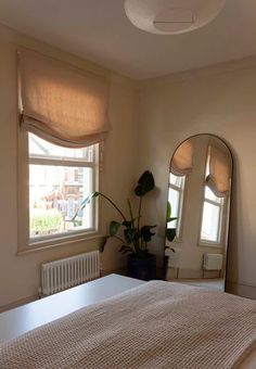 a bedroom with a bed, mirror and potted plant on the side of it