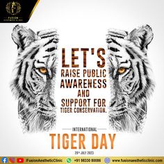 International Tiger Day!!
#worldtigerday #tiger #savetigers #internationaltigerday #nationalanimal
