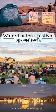 people are sitting on the grass at an outdoor event with water and lights in the background