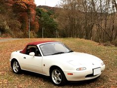 a white sports car parked on the side of a road in front of some trees