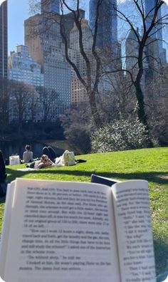 an open book sitting on top of a lush green field next to a park filled with trees