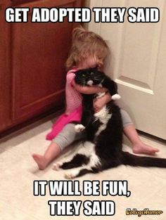 Get adopted they said It will be fun, they said Uh Oh Cat Meme, Silent Cat Meme Humor, Cats And Babies Funny, Baby And Cat Laughing, Oh Dog Meme, Cat Covering Kids Mouth Meme, Child Hugging Cat, Kid Hugging Cat, Cat Meme Oh Stop It