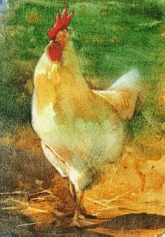 a painting of a chicken standing in the grass