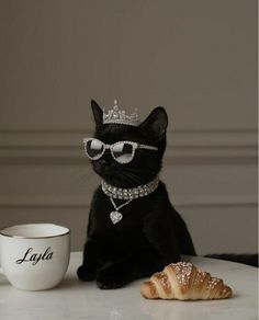 a black cat wearing glasses and a tiara next to a coffee cup with a croissant on it