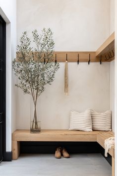 a wooden bench sitting under a tree next to a vase with a plant in it