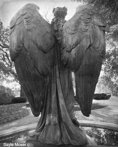 an angel statue in the middle of a park