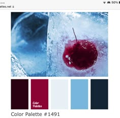 the color palette is red and blue