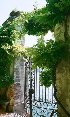 an iron gate with vines growing over it and water in the backgroung