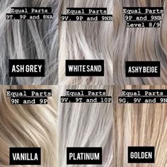 Paint Blend Repeat on Instagram: “The chart of my dreams ✨ Redken shades eq ✨ What formulation would you use for Ash Grey, White Sand, Ashy Beige, Vanilla, Platinum and…” Grey Hair Shades Eq Formula, Silver Hair Shades Eq Formula, Silver Blonde Shades Eq Formula, Ash Blonde Chart, Shades Eq Gray Toner Formulas, Silver Shades Eq Formula, Silver Toner Formula Shades Eq, Silver Hair Formula, Gray Shades Eq Formula