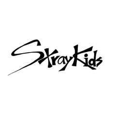 the word straykid written in black ink