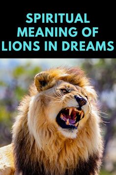 a lion with its mouth open and the words spirital meaning of lions in dreams
