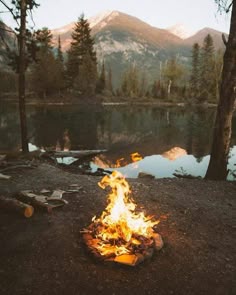 a campfire burning in the middle of a forest next to a body of water