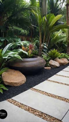 a garden with plants and rocks in it