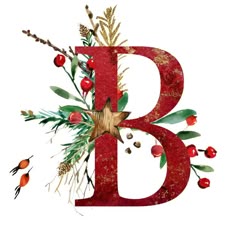 the letter b is decorated with flowers and berries