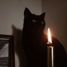 a black cat sitting next to a lit candle in front of a framed photograph on a wall