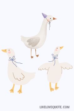 three white birds standing next to each other