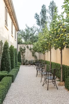 an outdoor dining area with tables and chairs in the middle of it, surrounded by greenery