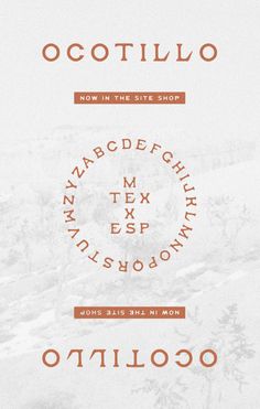 an orange and white poster with the words ocottillo in different font styles