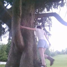 a woman climbing up the side of a tree