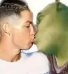 a man and woman kissing each other in front of a large green tree with leaves on it