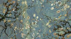 the branches of an almond tree in blossom against a blue sky background with swirling swirls